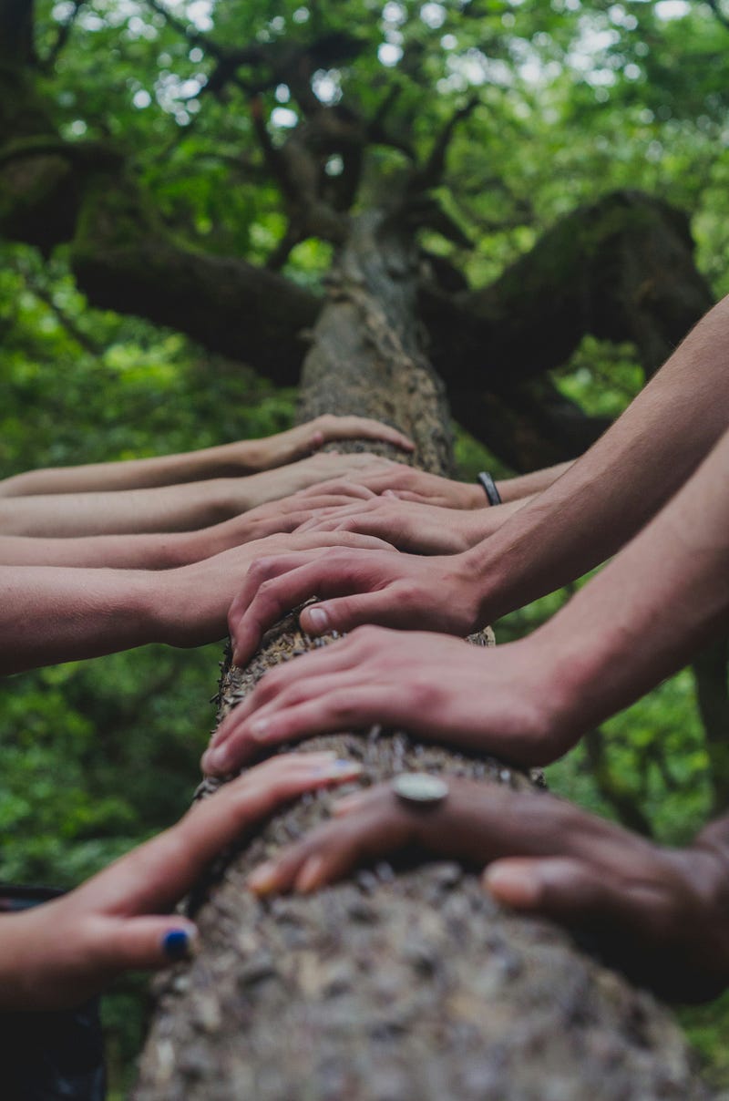 Community: The Ultimate Moat for Personal Brands and Businesses